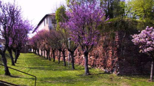 Milano-Voghera & back