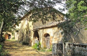 Da Cortona a San Galgano