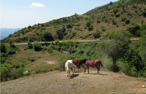 Il lungo giro delle valli di Zeri