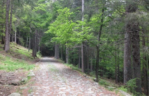 Strada Ducale