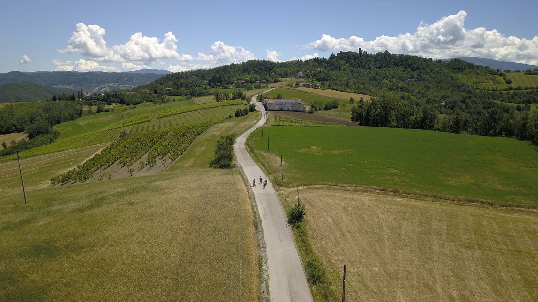 newsletter-stradezitte